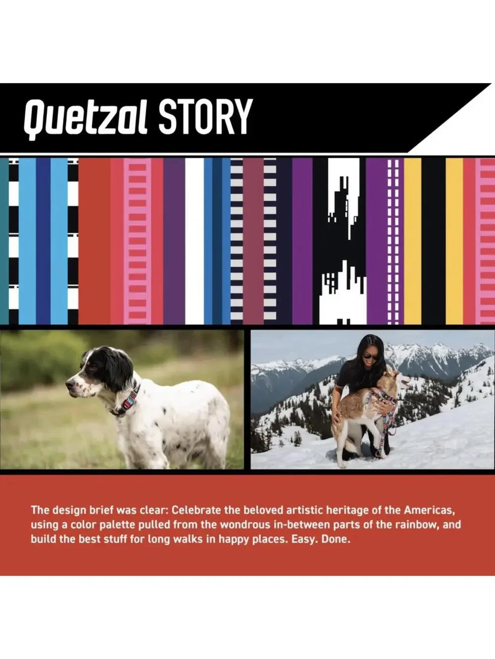 (RG) Wolfgang Man & Beast Quetzal Durable Polyester Dog Leash 6ft Walking NWT